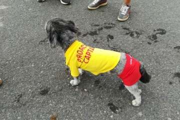 La limpieza de fondos marinos de La Garita 'rueda' con éxito (Foto TA)